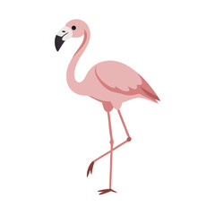 Flamingo: The Elegant Pink Wader