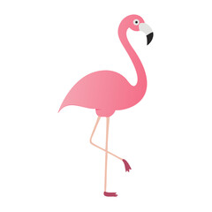 Flamingo: The Elegant Pink Wader