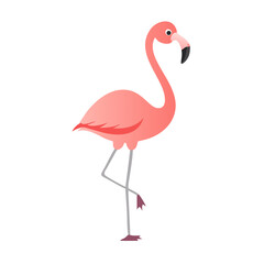 Flamingo: The Elegant Pink Wader