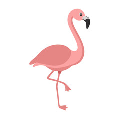 Flamingo: The Elegant Pink Wader