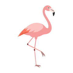 Flamingo: The Elegant Pink Wader