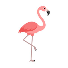 Flamingo: The Elegant Pink Wader