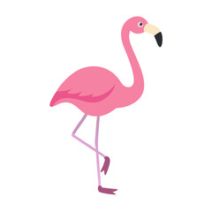 Flamingo: The Elegant Pink Wader