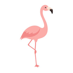 Flamingo: The Elegant Pink Wader