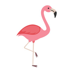 Flamingo: The Elegant Pink Wader
