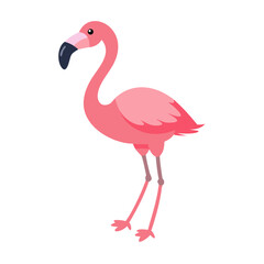Flamingo: The Elegant Pink Wader