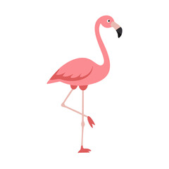 Flamingo: The Elegant Pink Wader