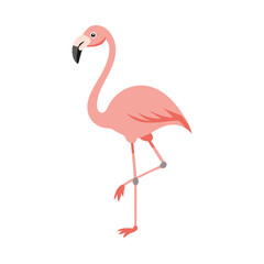 Fototapeta premium Flamingo: The Elegant Pink Wader