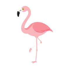 Flamingo: The Elegant Pink Wader