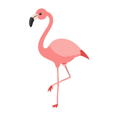 Fototapeta premium Flamingo: The Elegant Pink Wader