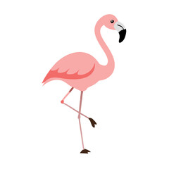 Flamingo: The Elegant Pink Wader