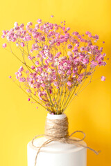 Close up of a pink gypsophila