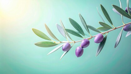 Obraz premium Harvesting olive branches in nature botanical photography calm environment close-up viewpoint natural beauty