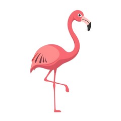 Fototapeta premium flamingo on white
