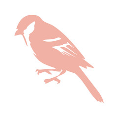 Bird Silhouette Illustration