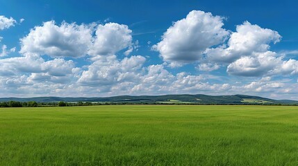 The peaceful summer landscape reveals a calm meadow, where nature's beauty meets the endless sky.
