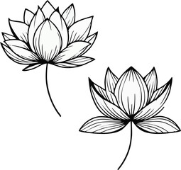 Minimalist line art of a white lotus flower, thin black lines on a white background