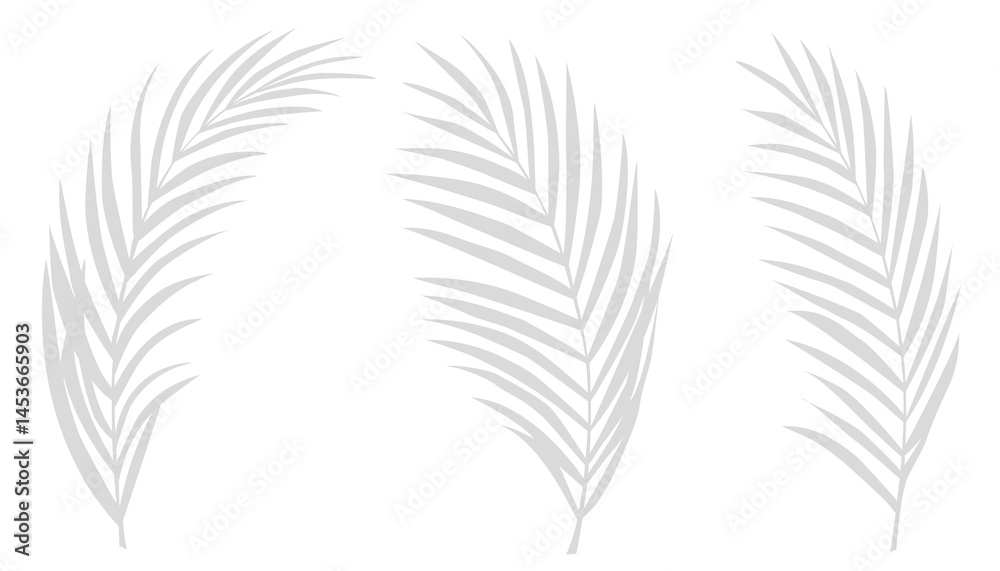 Aufkleber grey shadow of palm leaves branches on white background.tropical shadow leaf element for overlay on 