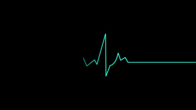 Heartbeat Monitor  Pulse  flatline on EKG or ECG screen in close-up. Heart rate electrocardiogram animation on black  background.
