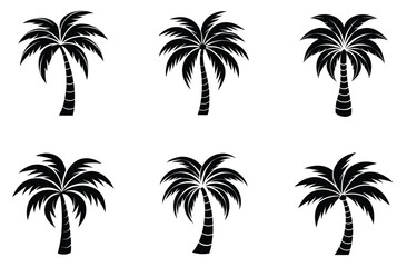 Silhouette of palm tree set vector illustration isolated on white background.