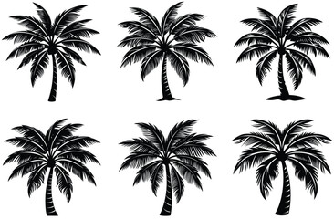 Silhouette of palm tree set vector illustration isolated on white background.