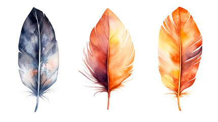 Fototapeta premium Watercolor diverse feather collection, cut out transparent