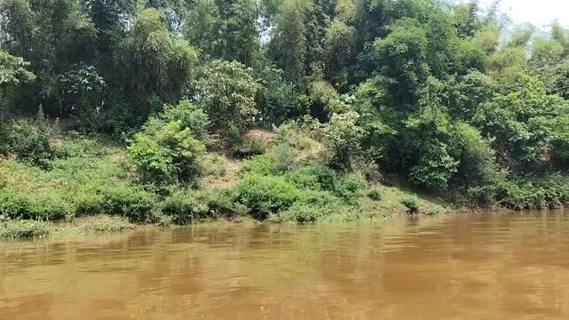 A beautiful nature. Green, trees, river, and jungle. Somewhere in Bangladesh.