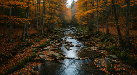 Fototapeta premium Serene Autumn Stream Flowing Through Vibrant Forest Landscape