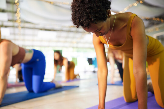 Diverse group of women practicing yoga indoors on mats, holding tabletop pose. Multi-ethnic fitness class in a sunlit studio, focusing on mindfulness, strength, and community