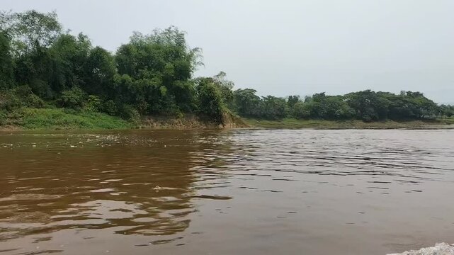 A beautiful nature. Green, trees, river, and jungle. Somewhere in Bangladesh.
