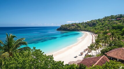 Stunning Aerial View of Tropical Beach with Turquoise Waters and Palm Trees