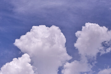 The sky is blue and clear with no clouds.