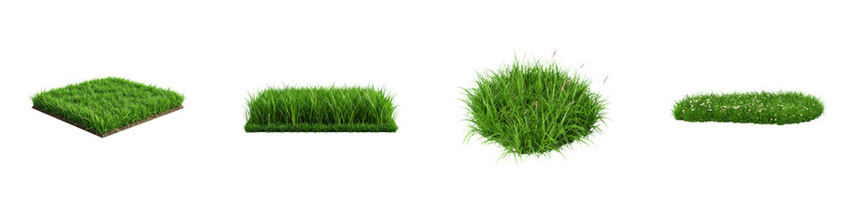 Various shapes and types of green grass clumps arranged in a row.