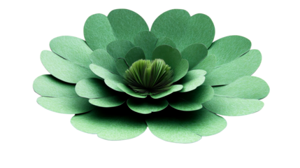 Stylized flower blossom, green petals and dark core, cut out transparent