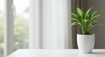 Lush Green Plant in Modern White Pot Near Bright Window