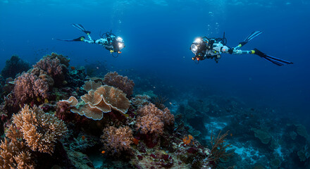 Fototapeta premium Two Divers Exploring Colorful Coral Reef Underwater Ecosystem