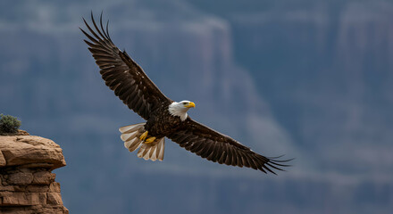 Obraz premium Majestic Bald Eagle Soaring Over Rocky Canyon Landscape