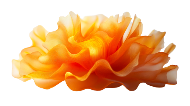 Orange flower shape with flowing silk texture, cut out transparent