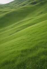 Obraz premium Softly curved hill blanketed in bright green grass , sunlight, lush