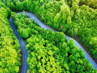 Aerial view of a road in the middle of the forest