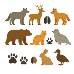 Vector set of wild and domestic animals with their matching paw prints. Collection with wolf, deer, fox, bear, cat, seal, rabbit and duck. Flat style isolated illustration on white background.