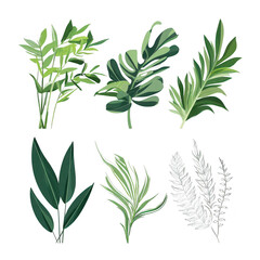 Fototapeta premium Aesthetic Collection of Various Green Leaves Illustrations for Nature, Design, and Botanical Themes in Bright and Vibrant Style