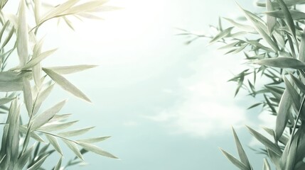 Obraz premium Light-filled tranquil bamboo foliage