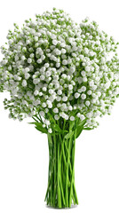 A vibrant bouquet of delicate white flowers arranged in a clear vase, perfect for decoration