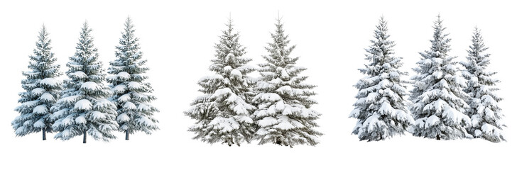Set of Lone Christmas tree naturally covered in thick snow, photographed with high resolution against a seamless on transparent png background. Ai generated