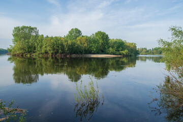 Obraz premium lake in the forest