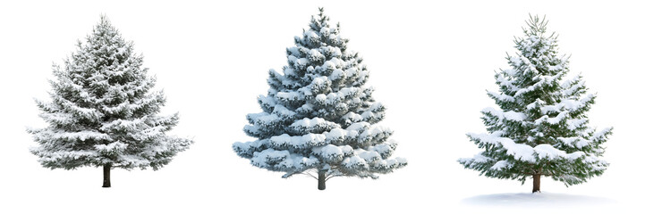Set of Vertical orientation of a snow-laden cedar tree against a bright on transparent png background. Ai generated