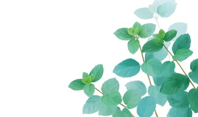 Obraz premium Illustration about mint, Generative AI