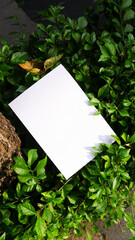 plain a4 poster paper mockup with green leaf background