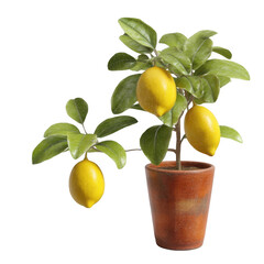 Realistic lemon tree in decorative pot with vibrant yellow lemons and lush green leaves for home decor, gardening, and kitchen styling ideas